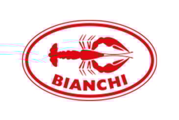Zutrittskontrolle bei Bianchi 